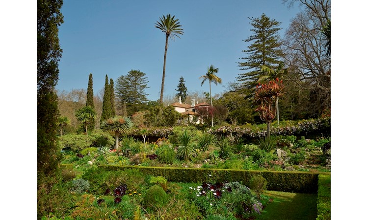 Jardins du Palheiro Ferreiro