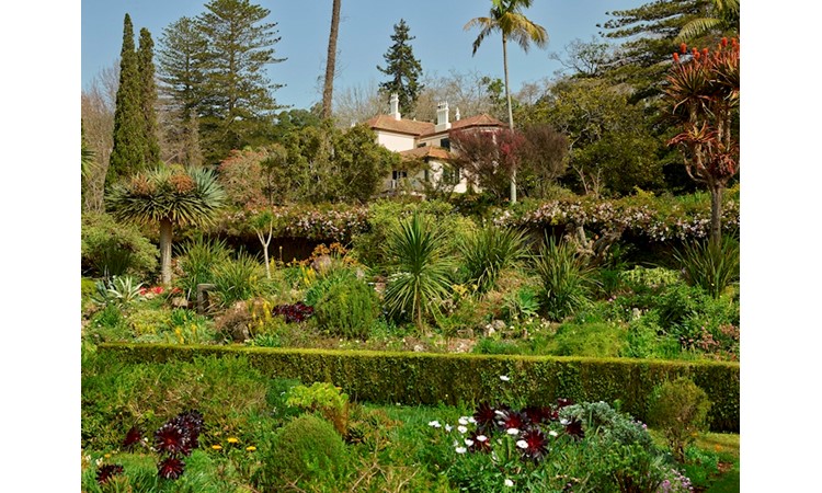 Jardins du Palheiro Ferreiro