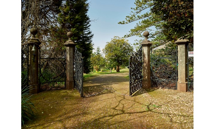 Jardins du Palheiro Ferreiro