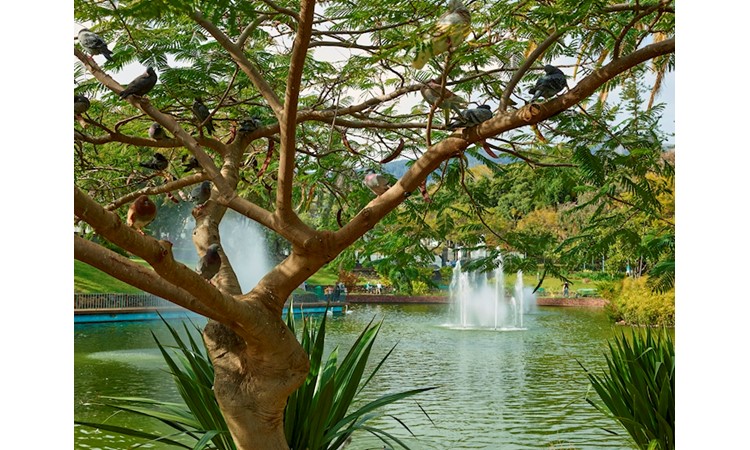 Parque de Santa Catarina