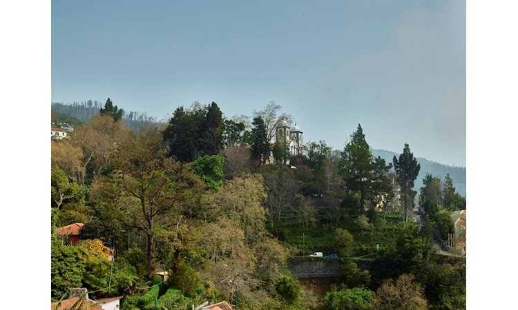 Parque Municipal do Monte