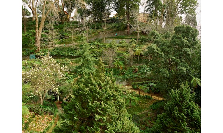 Parque Municipal do Monte