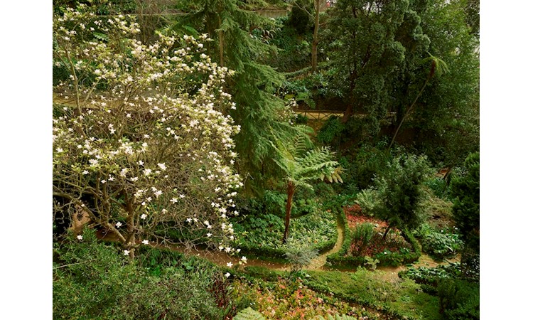 Parque Municipal do Monte