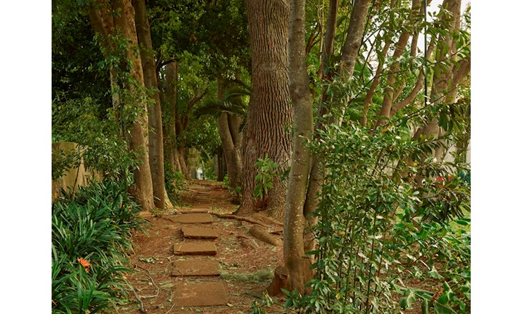 Quinta da Bela Vista