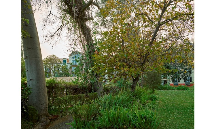 Quinta da Bela Vista