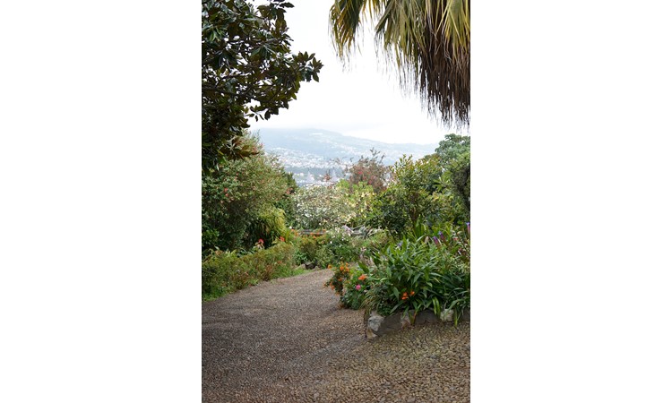 Quinta de Santo António
