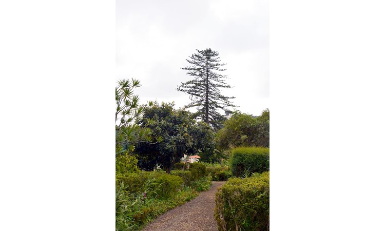 Quinta de Santo António