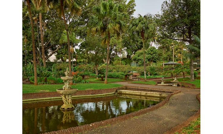 Quinta Vigia