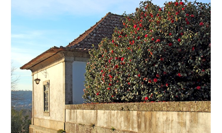 Casa do Casal