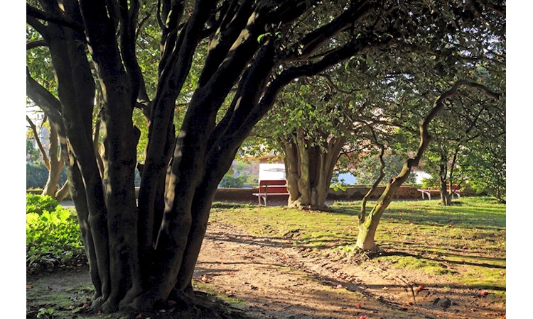 Casa Tait