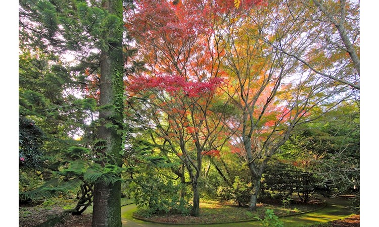 Porto Botanical Garden