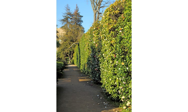 Porto Botanical Garden