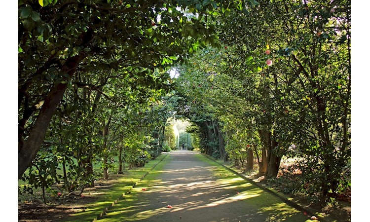 Porto Botanical Garden