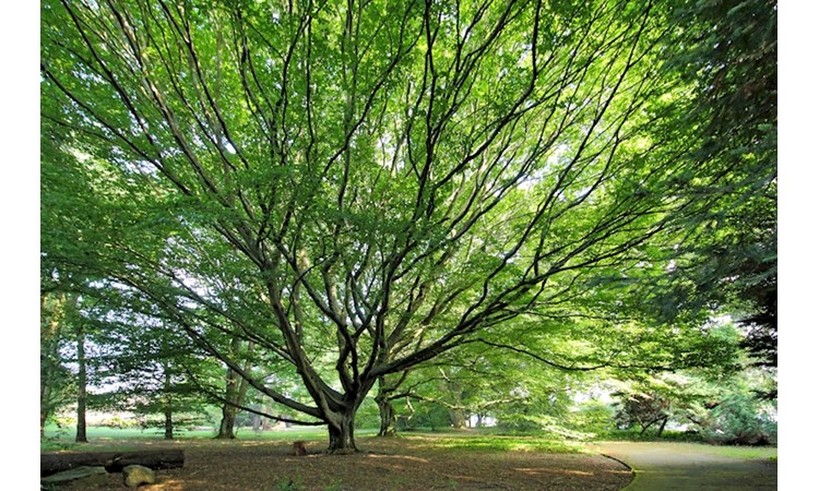 Porto Botanical Garden