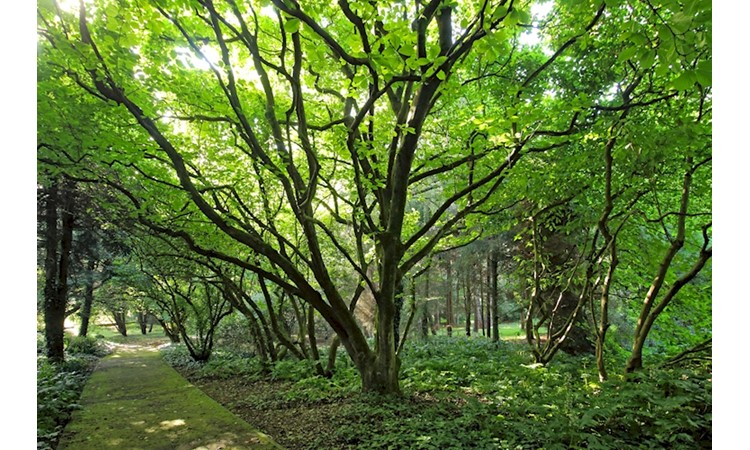 Porto Botanical Garden