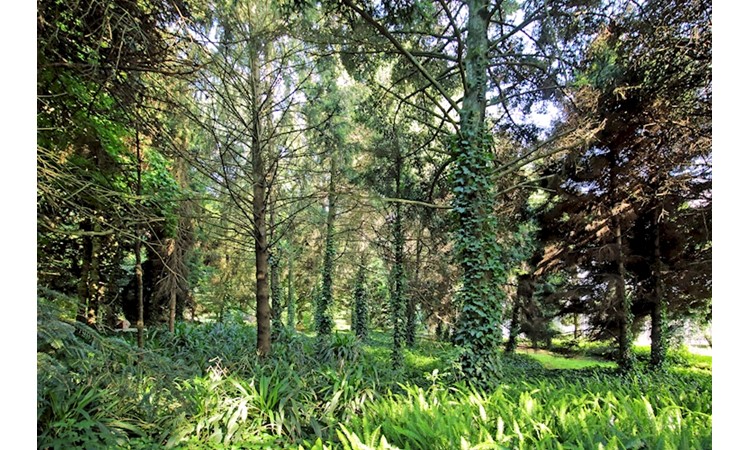 Porto Botanical Garden