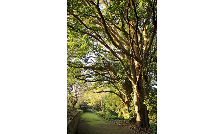 Porto Botanical Garden