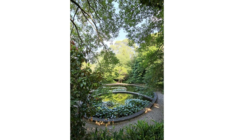 Porto Botanical Garden