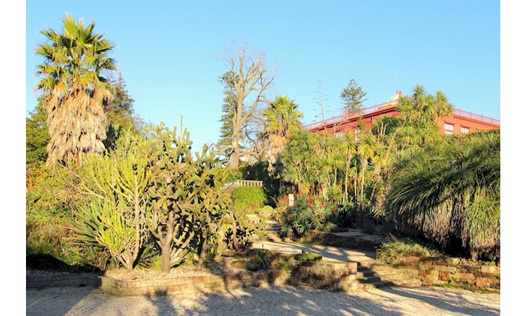Porto Botanical Garden