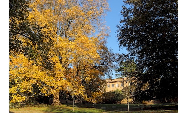 Garden of the Casa de São Miguel/Casa Allen