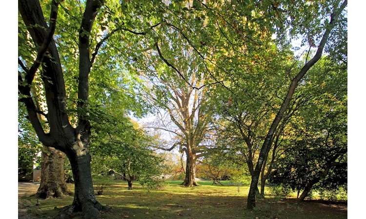 Garden of the Casa de São Miguel/Casa Allen
