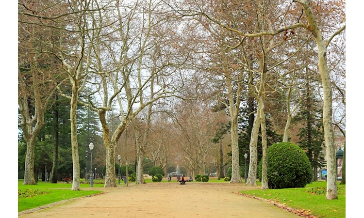 Garden of the Passeio Alegre