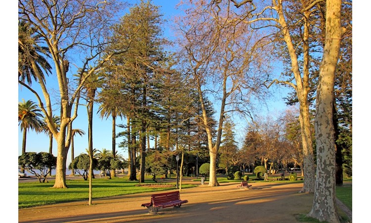 Garden of the Passeio Alegre