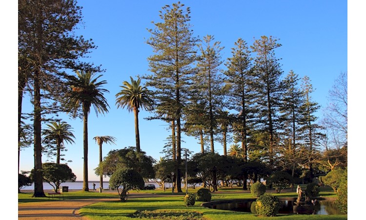 Garden of the Passeio Alegre
