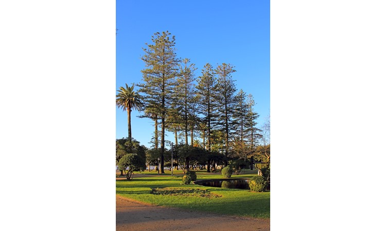 Garden of the Passeio Alegre