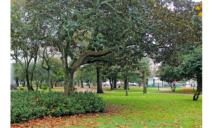 Garden of the Passeio Alegre