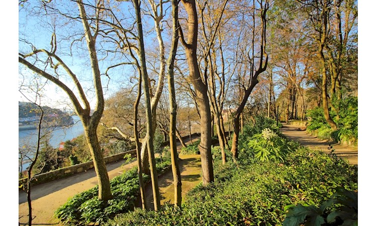 Gardens of the Palácio de Cristal