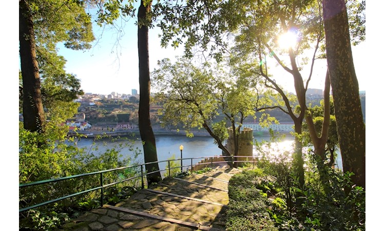 Gardens of the Palácio de Cristal