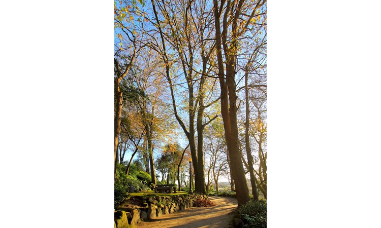 Gardens of the Palácio de Cristal