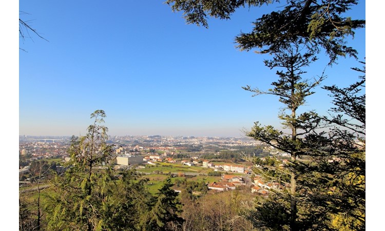 Monte Crasto
