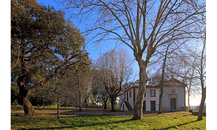 Monte de São Brás
