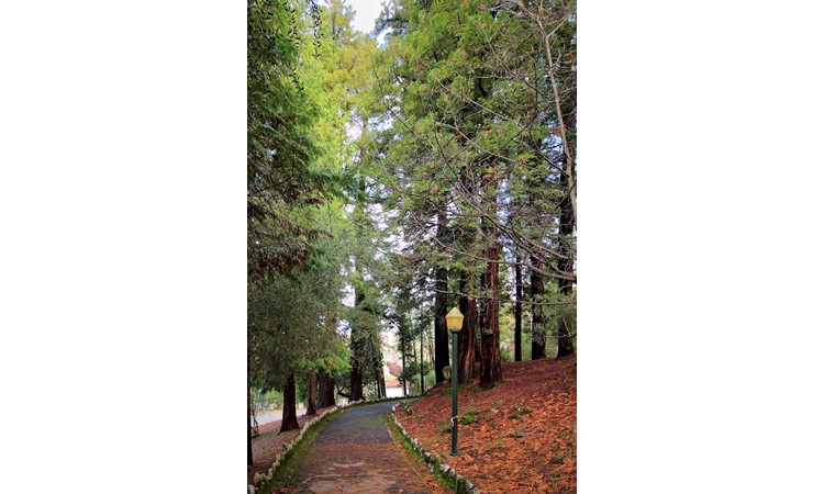 La Salette Park