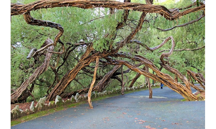 La Salette Park
