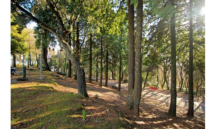 Park of Nossa Senhora dos Milagres