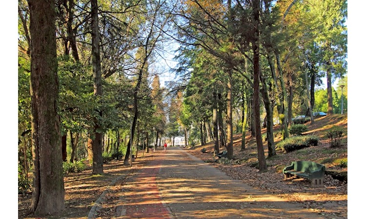 Park of Nossa Senhora dos Milagres