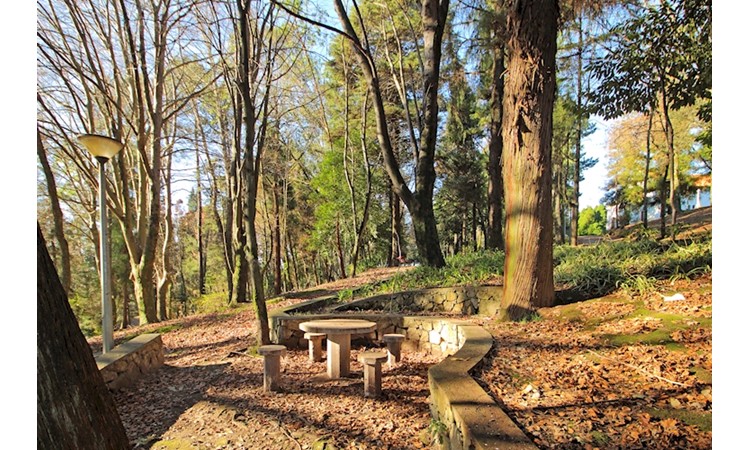 Park of Nossa Senhora dos Milagres