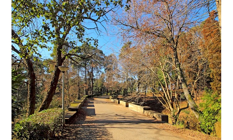 Park of Nossa Senhora dos Milagres