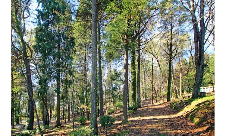 Park of Nossa Senhora dos Milagres
