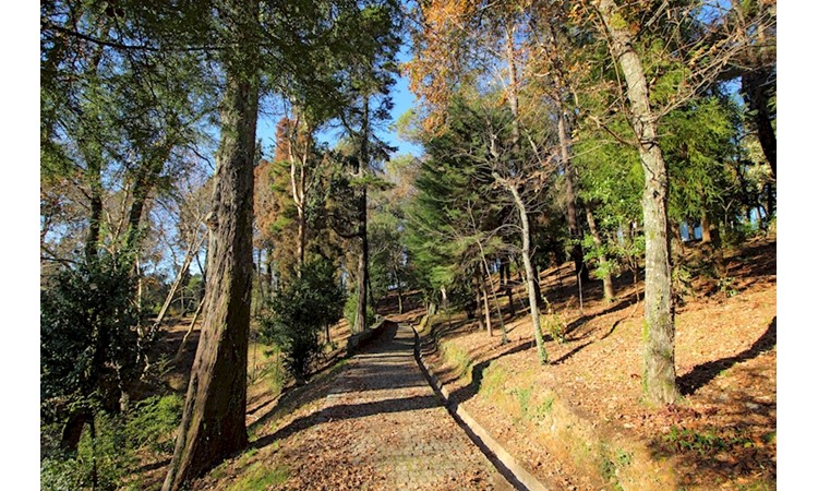 Park of Nossa Senhora dos Milagres