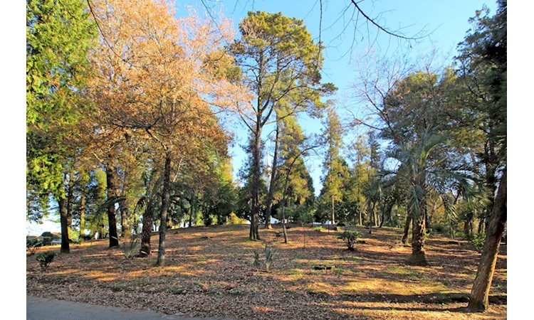 Park of Nossa Senhora dos Milagres