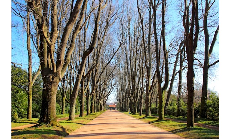 Serralves Park
