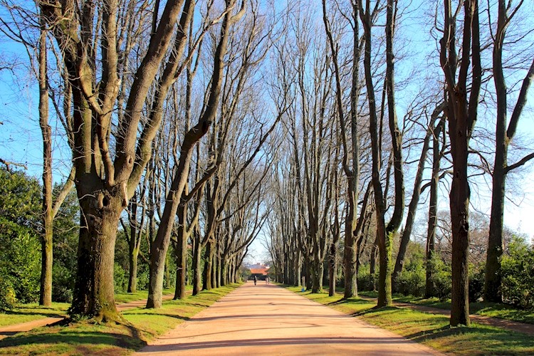 Parc de Serralves