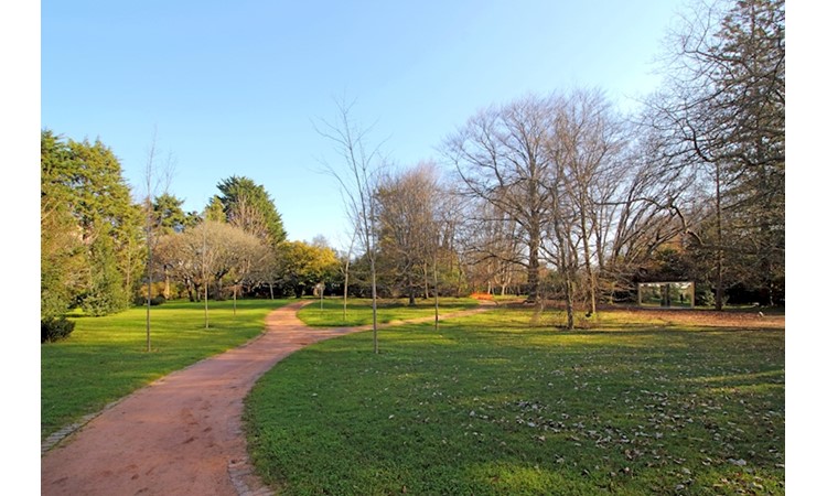 Serralves Park