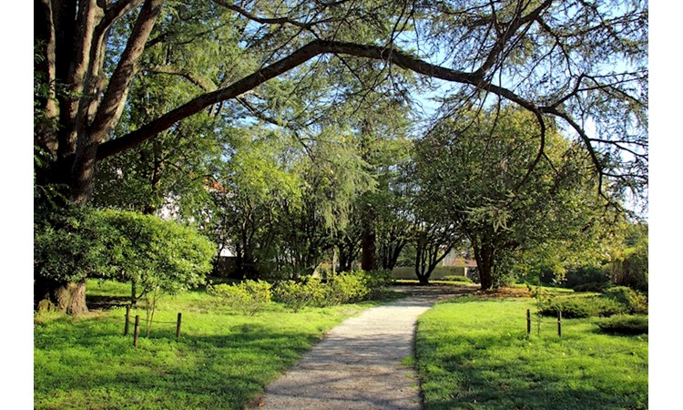 Serralves Park
