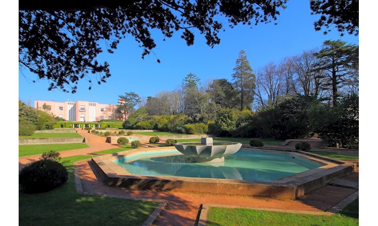 Serralves Park