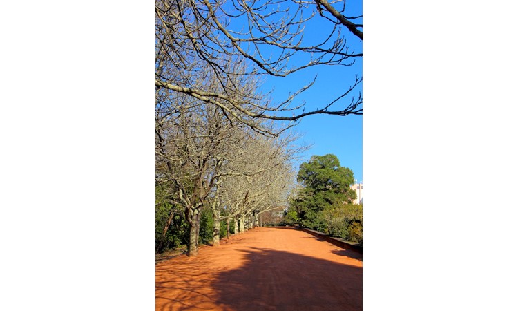 Serralves Park
